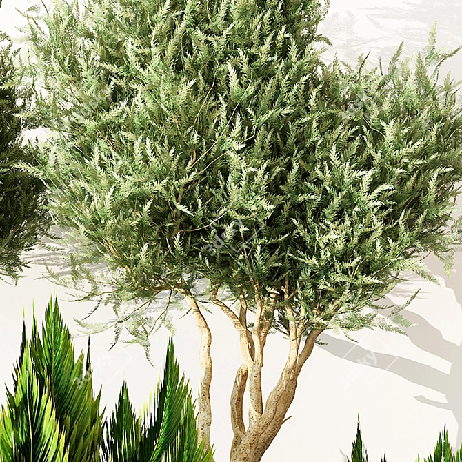 Indoor Greenery: Vol. 21 3D model image 10