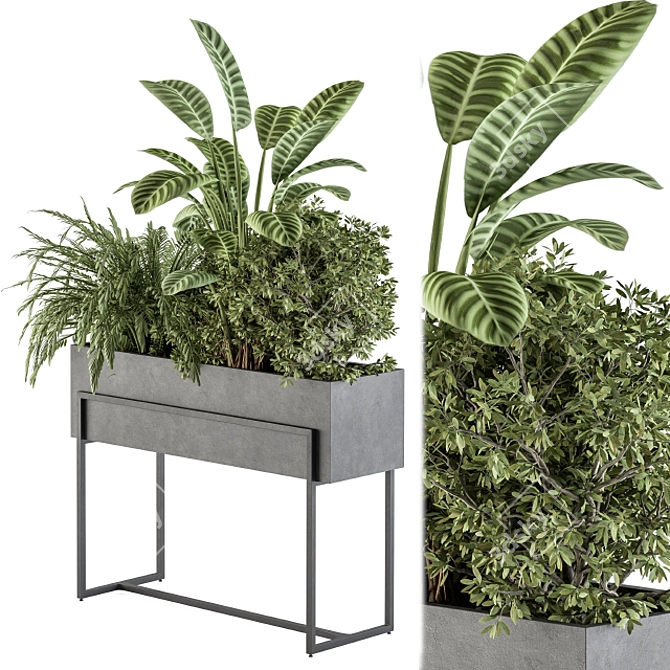 Elegant Greenery in Black: Indoor Plant Set 3D model image 1