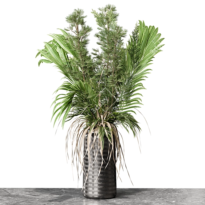 Indoor Plant Collection 3D model image 2
