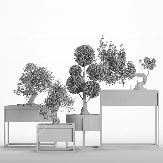 Exquisite Bonsai Tree Collection 3D model image 6