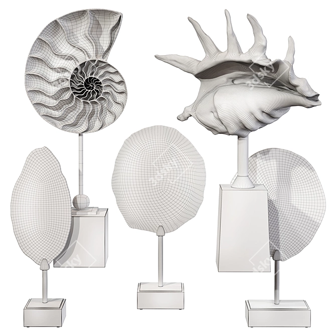 Seashell Delight: Coastal Decor Set 3D model image 7