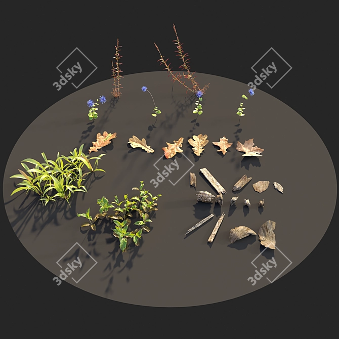 Enchanted Forest Ground 3D model image 4