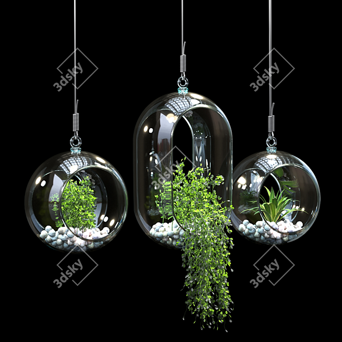 Modern Pendant Plant Decor 3D model image 1