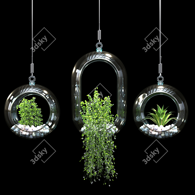 Modern Pendant Plant Decor 3D model image 2