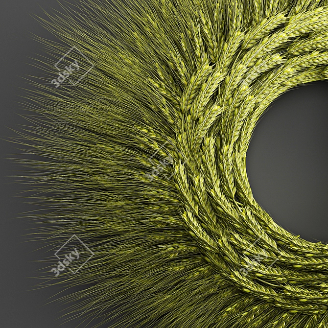 Nature's Wheat Wreath 3D model image 5