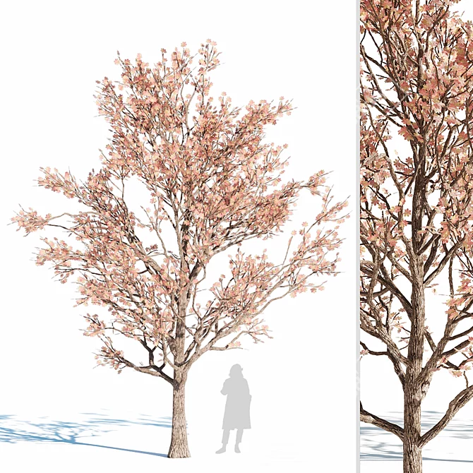 Majestic 3D Tree Model 3D model image 1