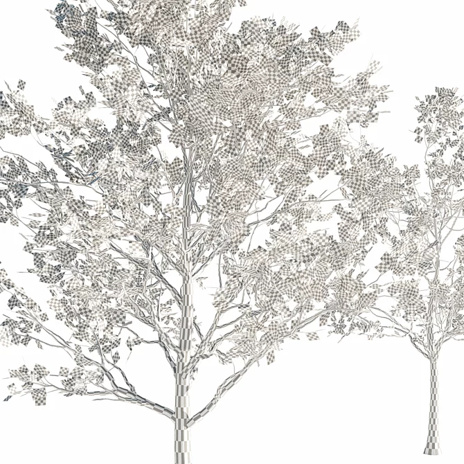 Majestic 3D Tree Model 3D model image 4