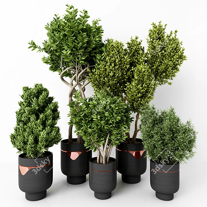 Modern Green Indoor Plant: Vol. 22 3D model image 1