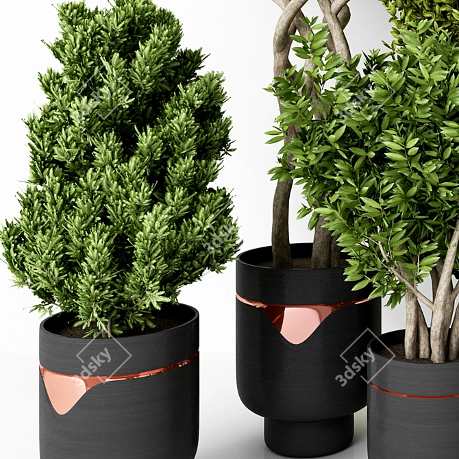 Modern Green Indoor Plant: Vol. 22 3D model image 2