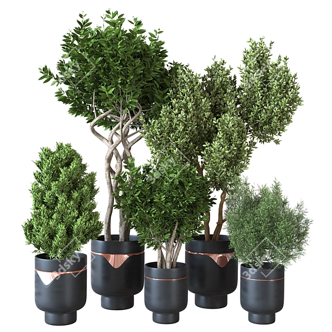 Modern Green Indoor Plant: Vol. 22 3D model image 6