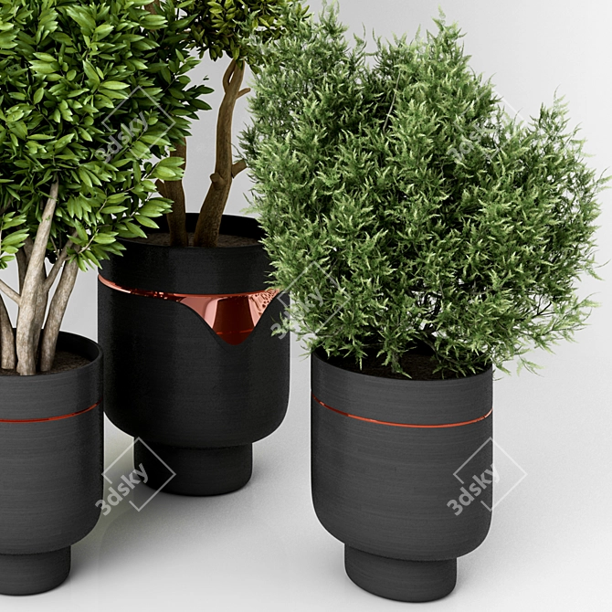 Modern Green Indoor Plant: Vol. 22 3D model image 9