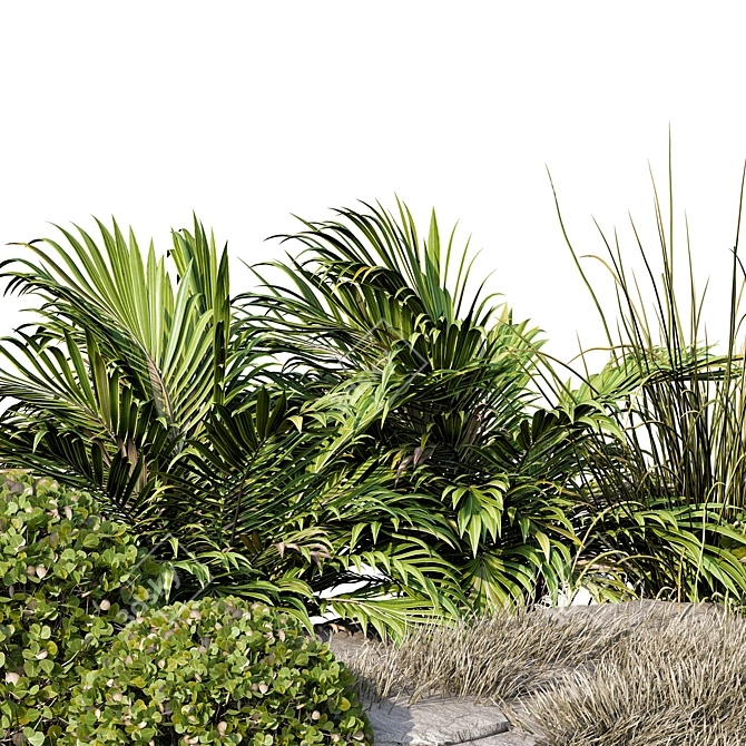 Garden Oasis Plant Set 3D model image 2