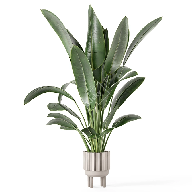 Standing Legs Concrete Pot Set - Indoor Plants 3D model image 5