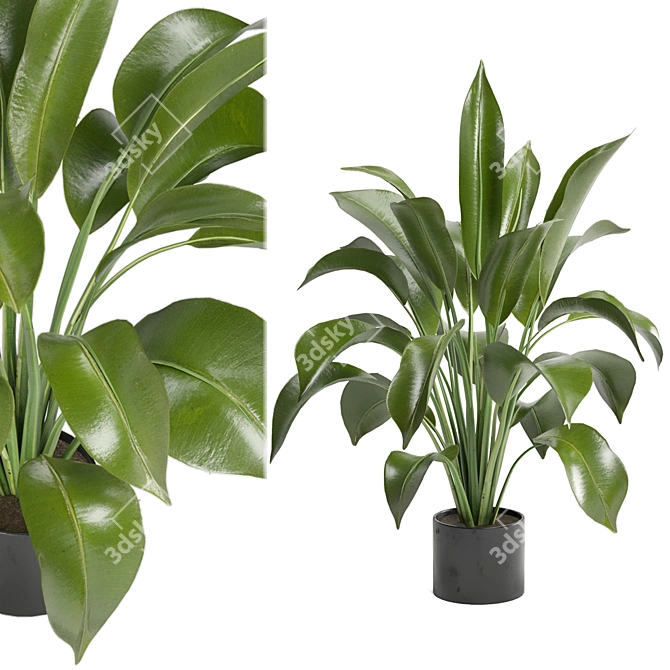 Ferm Living Bau Pot Large - Set 136: Indoor Plants 3D model image 1