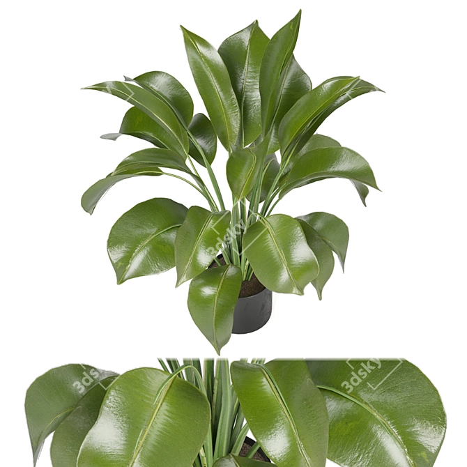 Ferm Living Bau Pot Large - Set 136: Indoor Plants 3D model image 2