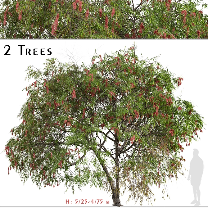 Lemon Bottlebrush Tree Set: Citrus-Scented Beauty 3D model image 1