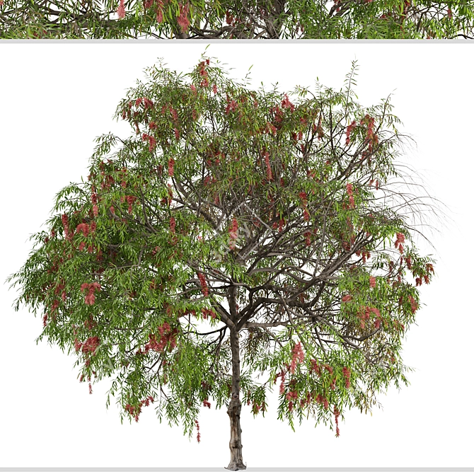 Lemon Bottlebrush Tree Set: Citrus-Scented Beauty 3D model image 5