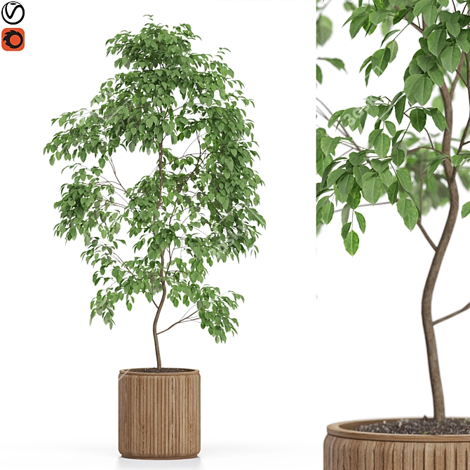 612 Plant Collection: Stunning Greenery Bundle 3D model image 1