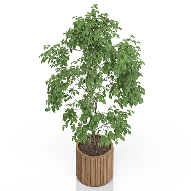 612 Plant Collection: Stunning Greenery Bundle 3D model image 2