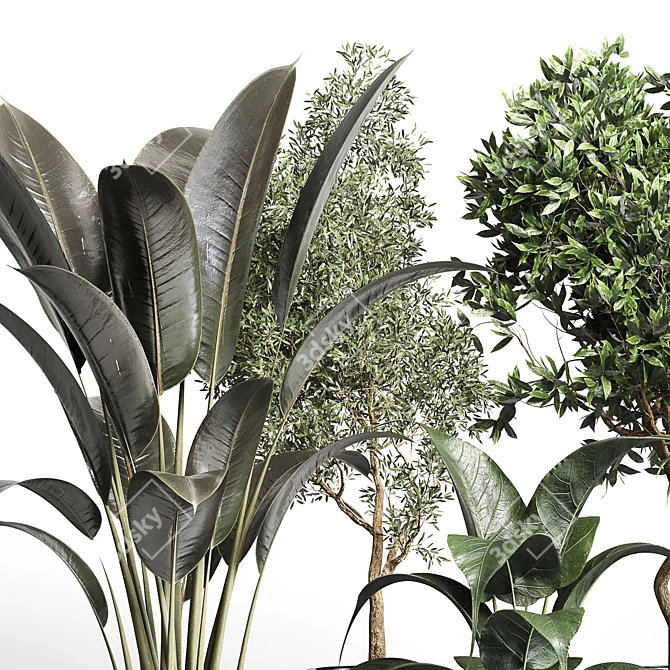 Botanical Bliss: 156 Pot Indoor Plant Collection 3D model image 2