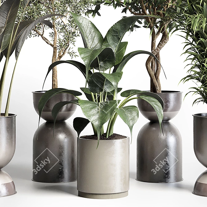 Botanical Bliss: 156 Pot Indoor Plant Collection 3D model image 5