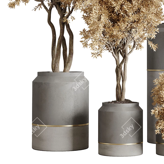 Concrete Pot Collection with Dry Plants 3D model image 2