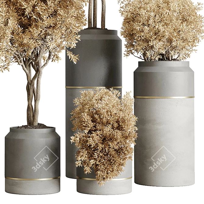Concrete Pot Collection with Dry Plants 3D model image 5