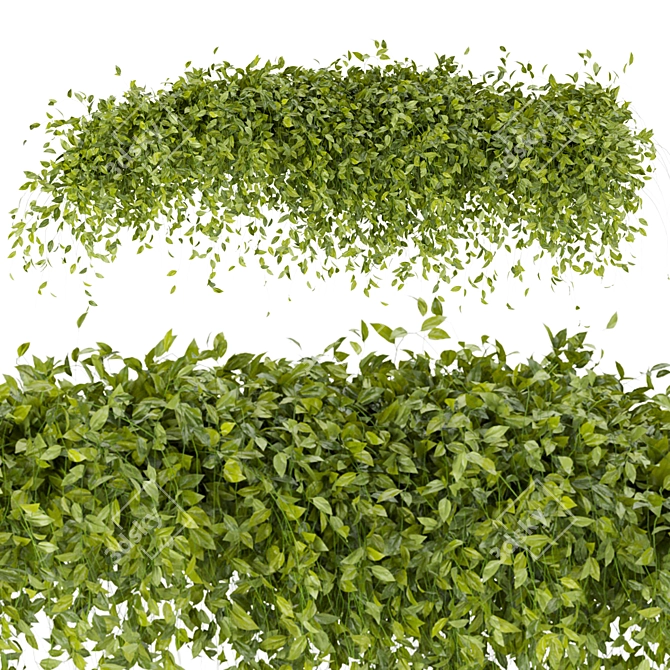 Bush Ivy - Outdoor 3D Model 3D model image 4