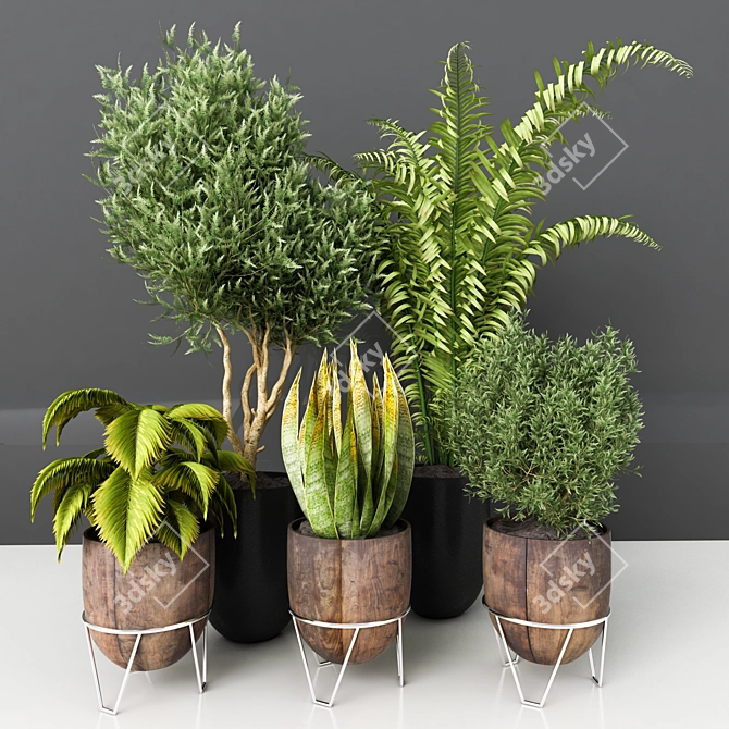 Modern Indoor Plant Vol. 23 3D model image 3