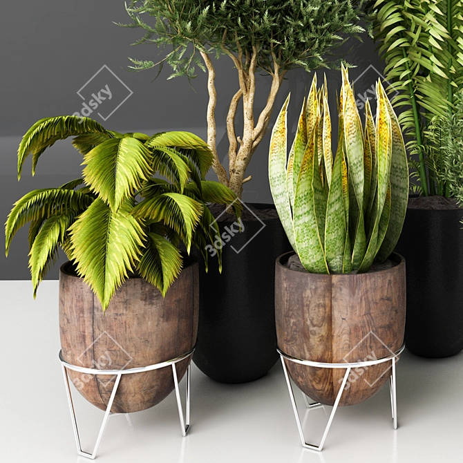 Modern Indoor Plant Vol. 23 3D model image 4