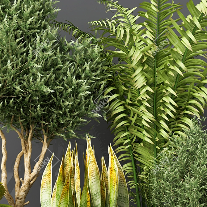 Modern Indoor Plant Vol. 23 3D model image 5