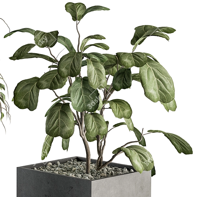 Botanical Bliss: Indoor Plant Set 3D model image 3