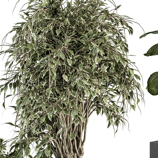 Botanical Bliss: Indoor Plant Set 3D model image 5