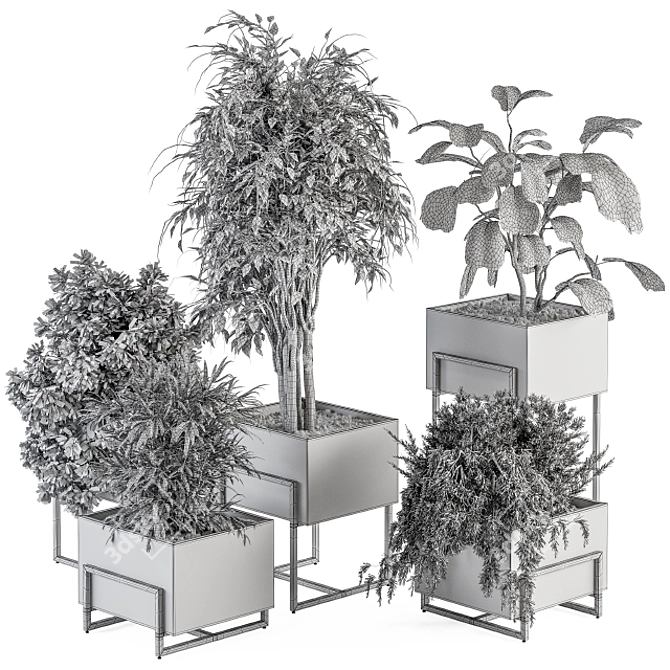 Botanical Bliss: Indoor Plant Set 3D model image 6