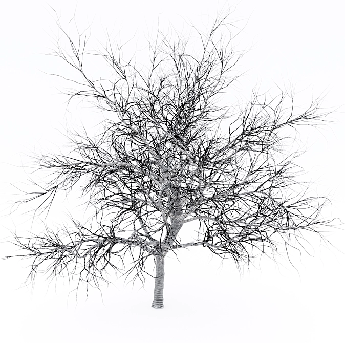 Exterior Scene Ready Bare Tree 3D model image 2