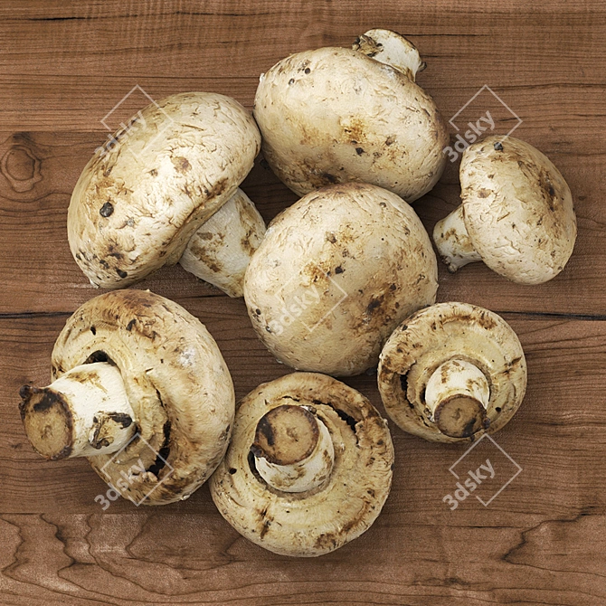 Crimini Mushroom - Photorealistic 3D Model 3D model image 4