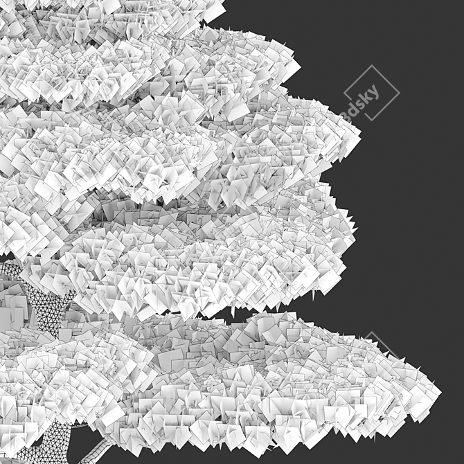 Japanese Black Pine Tree Duo: 4m Height 3D model image 4