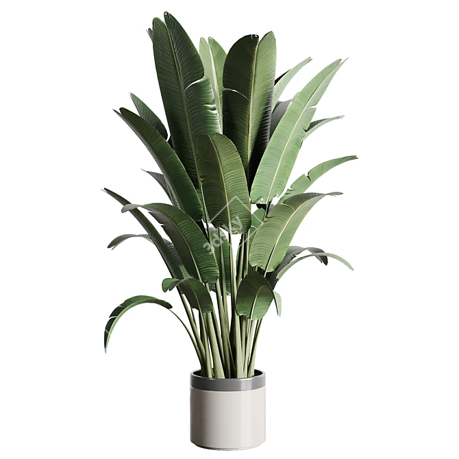 Ravenala Concrete Vase: Indoor Outdoor Plants 3D model image 1