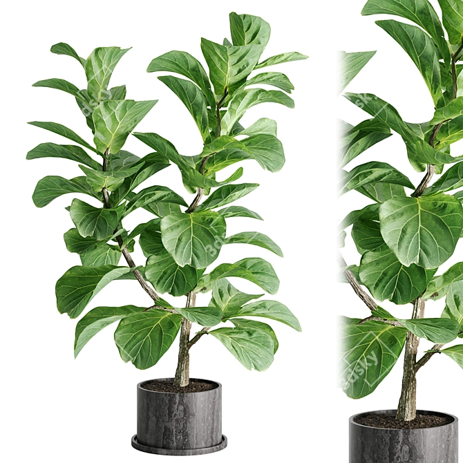 Botanical Bliss: Indoor Plant Set 3D model image 1