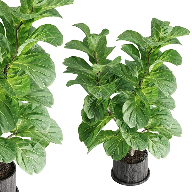 Botanical Bliss: Indoor Plant Set 3D model image 5