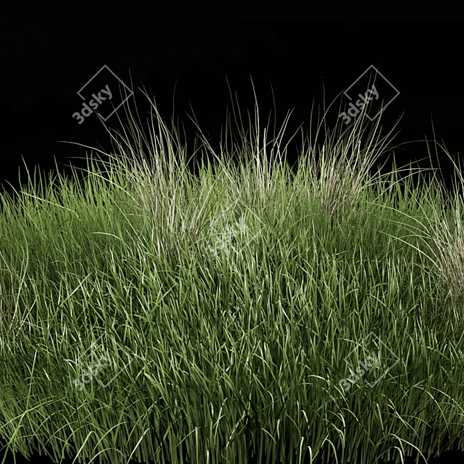 Outdoor Bush Set 343 - 3D Plant Models 3D model image 2