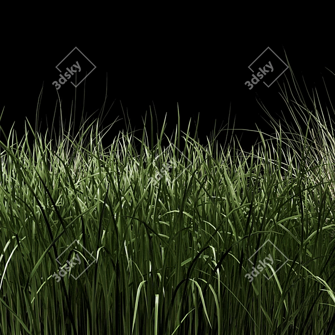 Outdoor Bush Set 343 - 3D Plant Models 3D model image 3