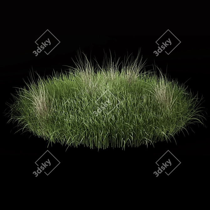 Outdoor Bush Set 343 - 3D Plant Models 3D model image 4