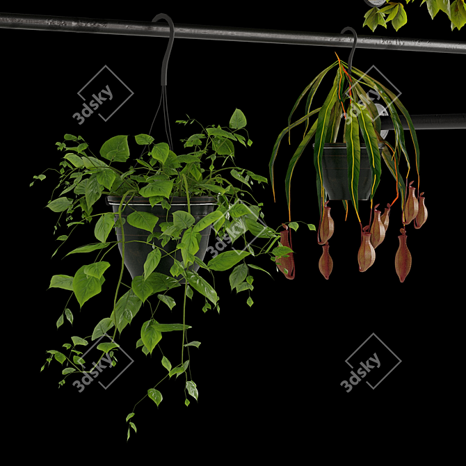 Hanging Gardens Collection 3D model image 5