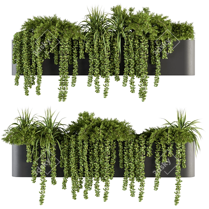 Botanical Box: Hanging Indoor Plant Set 3D model image 1