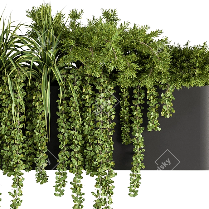 Botanical Box: Hanging Indoor Plant Set 3D model image 2