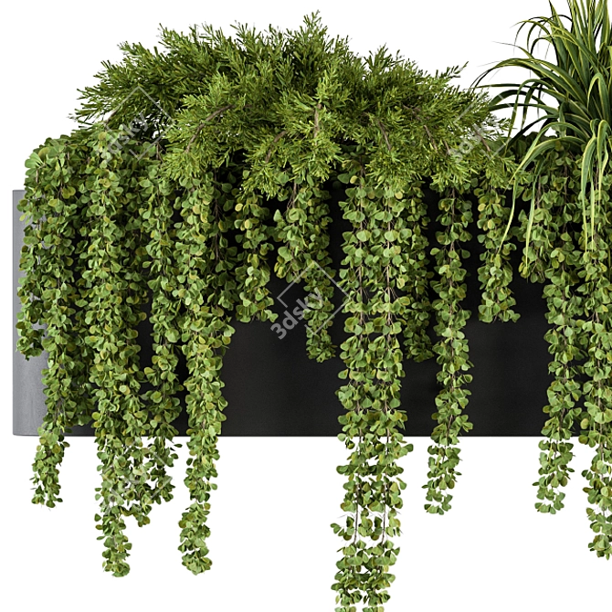 Botanical Box: Hanging Indoor Plant Set 3D model image 3
