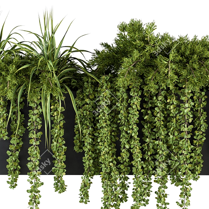 Botanical Box: Hanging Indoor Plant Set 3D model image 4