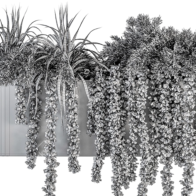 Botanical Box: Hanging Indoor Plant Set 3D model image 6