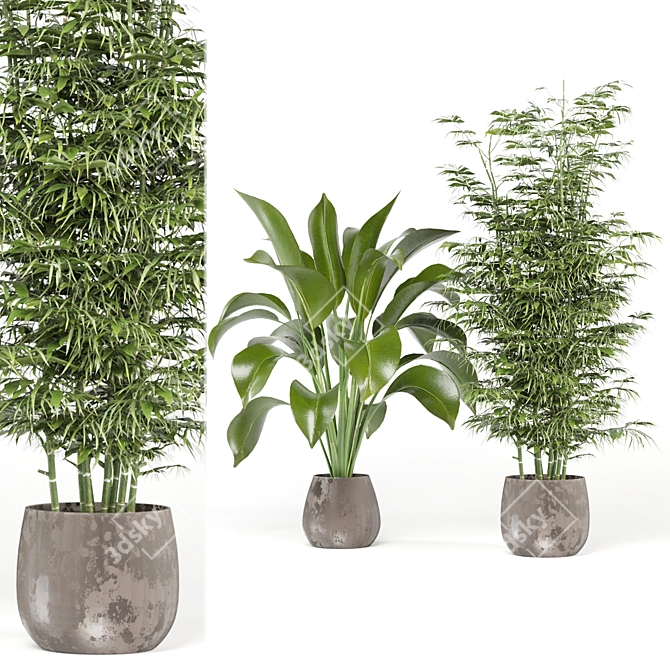 Ferm Living Bau Pot Large - Set 141: Indoor Plants for Modern Interiors 3D model image 1